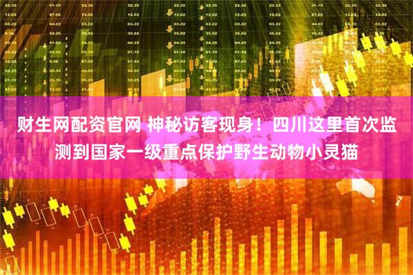 财生网配资官网 神秘访客现身！四川这里首次监测到国家一级重点保护野生动物小灵猫
