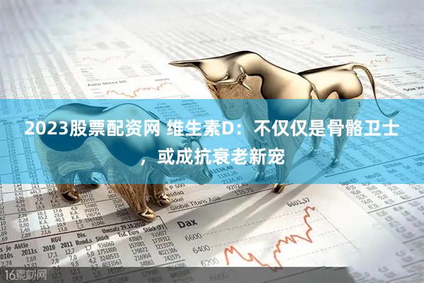 2023股票配资网 维生素D：不仅仅是骨骼卫士，或成抗衰老新宠