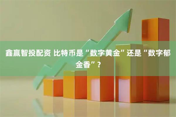 鑫赢智投配资 比特币是“数字黄金”还是“数字郁金香”？