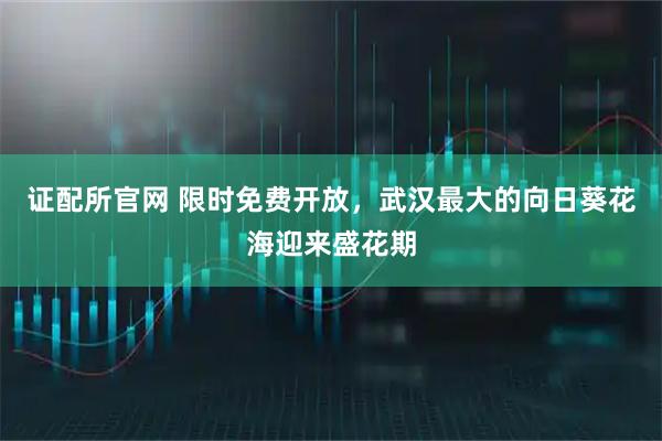 证配所官网 限时免费开放，武汉最大的向日葵花海迎来盛花期